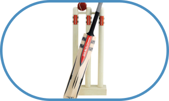 Cricket
