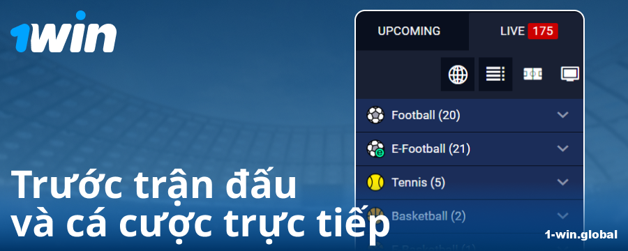 Các giải đấu trên trang web 1Win VN